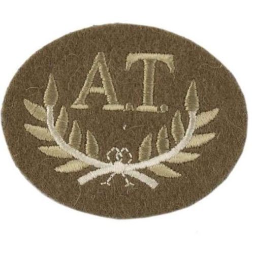 anti tanks badge